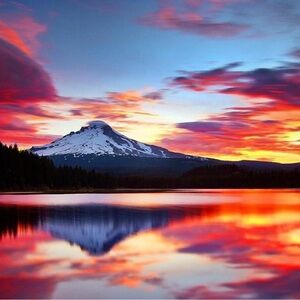 Meet your Posher, Irina